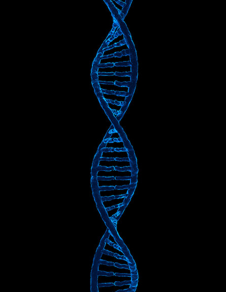 DNA (צילום: Thinkstock)
