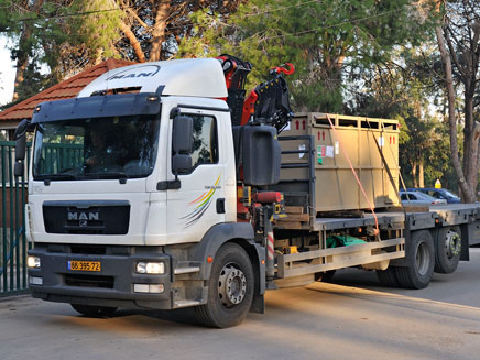 עדיין אין לה שם. הצעות? (צילום: טיבור יגר)