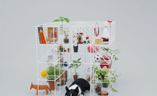 כלבים 10soufujimto