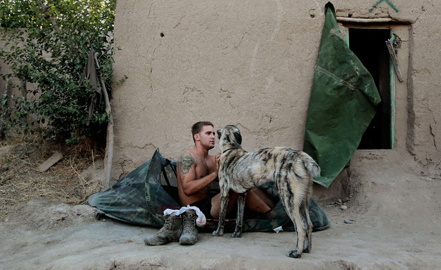 חייל אמריקאי מלטף כלב בבאלה מורגב באפגניסטן (צילום: Chris Hondros, GettyImages IL)