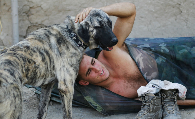 חייל בצבא ארה"ב מלטף כלב אפגניסטן (צילום: Chris Hondros, GettyImages IL)