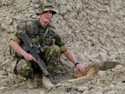 חייל בריטי עם כלב בקבול אפגניסטן (צילום: Paula Bronstein, GettyImages IL)
