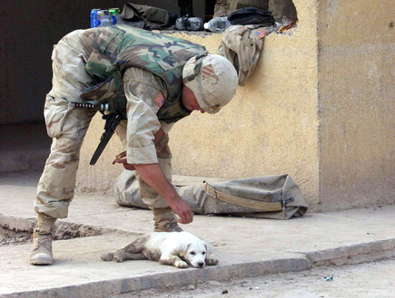 חייל אמריקאי מלטף כלב במהלך פטרול בעיר בלד בעירק (צילום: Marco Di Lauro, GettyImages IL)