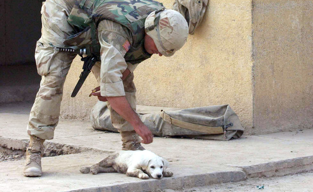 חייל אמריקאי מלטף כלב במהלך פטרול בעיר בלד בעירק (צילום: Marco Di Lauro, GettyImages IL)