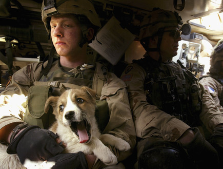 כלב עם חייל אמריקאי בתוך רכב משוריין במוסול אפגניס (צילום: Ghaith Abdul-Ahad, GettyImages IL)
