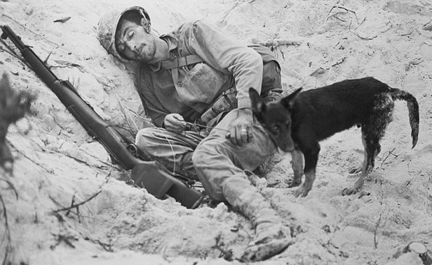 כלב שומר על חייל אמריקאי במלחמת העולם השנייה