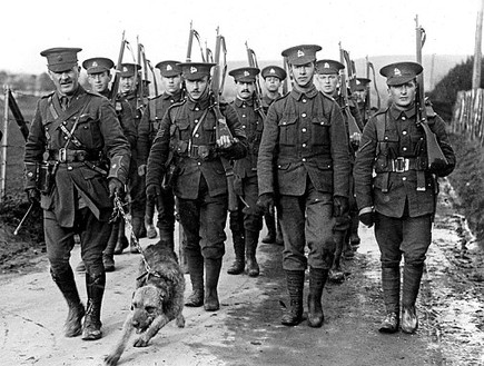 כלב בצבא צרפת במלחמת העולם הראשונה