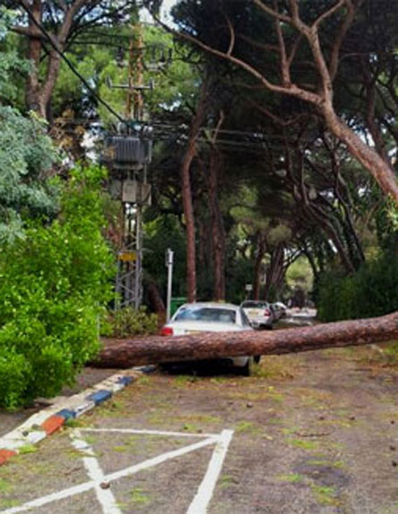 נזקי מזג האוויר ברחבי הארץ (צילום: חדשות 2)