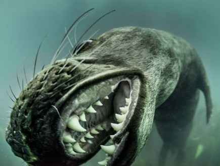 שיניים של כלב ים