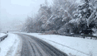 שלג (צילום: חדשות 2, רויטרס)