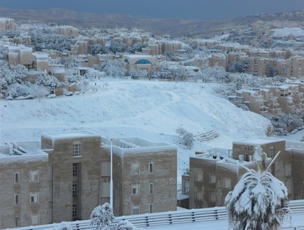 שכונת ארמון הנציב, ישראל לבנה (צילום: שרון תדמור)