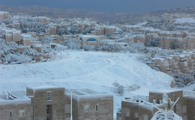 שכונת ארמון הנציב, ישראל לבנה (צילום: שרון תדמור)