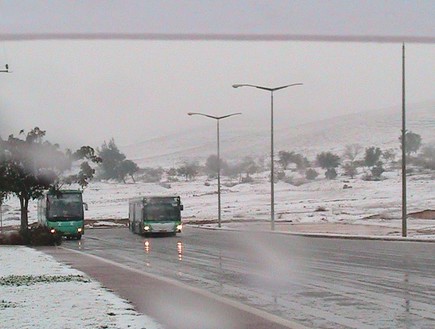 שלג בדימונה, ישראל לבנה (צילום: שני בן יהודה)