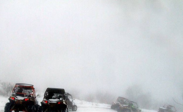 פולריס פולריס