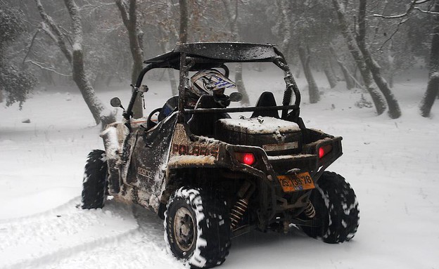 פולריס פולריס