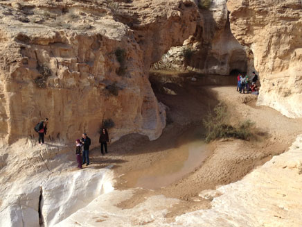 שמשי בדרום, היום (צילום: רוני מור)