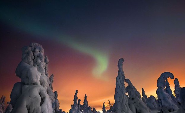 עצים קפואים בשקיעה עצים קפואים בשקיעה