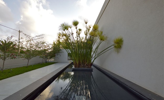 גיל גרוסמן, עוד חוץ