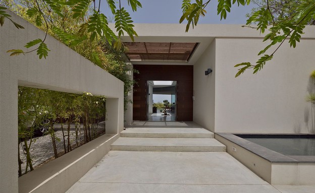 גיל גרוסמן, עץ בחצר