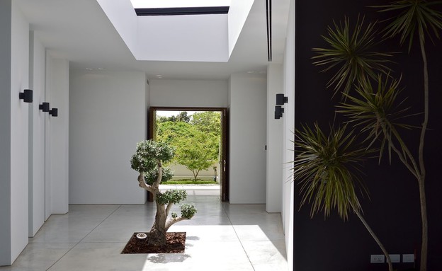 גיל גרוסמן, עץ ננסי