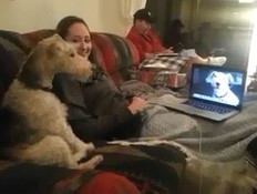 כלבים מדברים בסקייפ