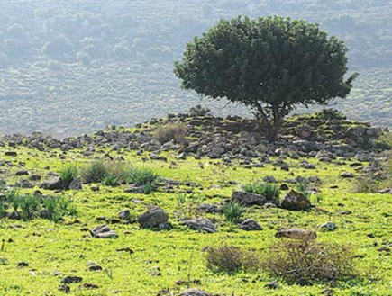 תל כינרות (צילום: יותם יעקובסון)