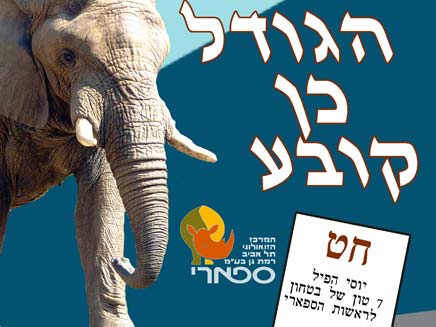 גייס את מרבית קולות הבוחרים - אבל רק בספ (צילום: ספארי)