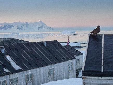 סניף הדואר באנטארקטיקה נפתח שוב לראשונה מזה חמישים שנה