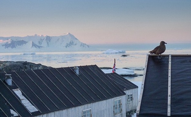 סניף הדואר באנטארקטיקה נפתח שוב לראשונה מזה חמישים שנה