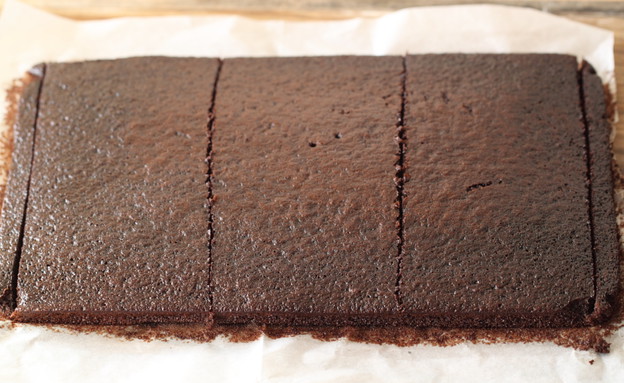 עוגת שוקולד ופסיפלורה - העוגה (צילום: חן שוקרון, mako אוכל)
