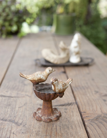 הביתה שרון, ציפור על השולחן (צילום: מתוך קטלוג פמינה 2010, עידו לביא (ארכיון))