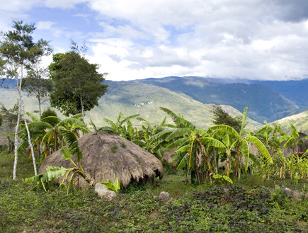 עוד פפואה ניו גינאה, מקומות נידחים (צילום: אימג'בנק / Thinkstock)