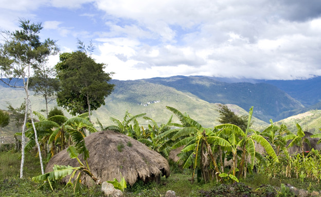 עוד פפואה ניו גינאה, מקומות נידחים (צילום: אימג'בנק / Thinkstock)