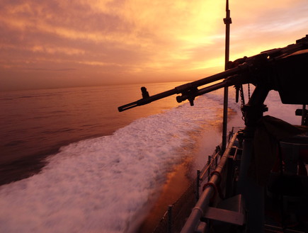 ספינת שלדג באימון (צילום: שי לוי, צבא וביטחון)