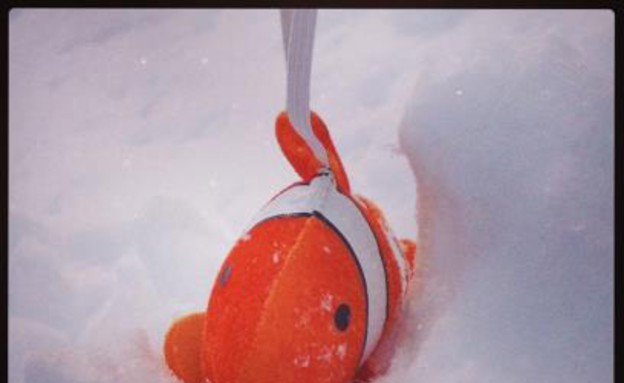 סופת נמו. צילום: ליטל אשר-דותן