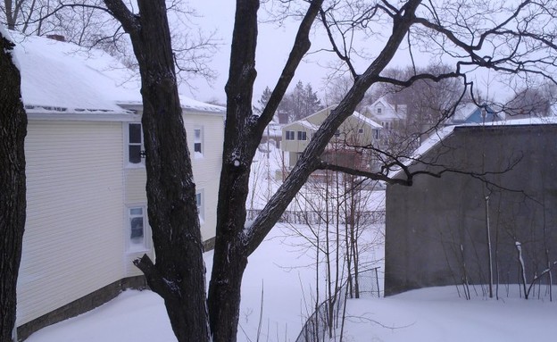 סופת שלגים במסצ'וסטס. צילום: יואב דר