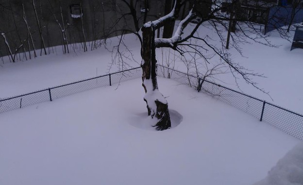 מאלדן, מסצ'וסטס. צילום: יואב דר