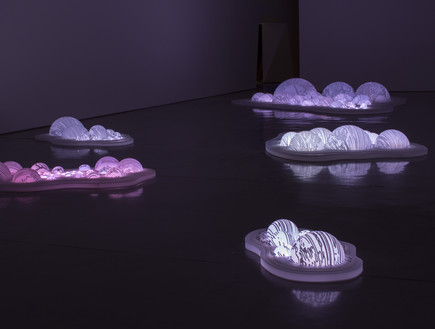 תערוכת איים צפים תערוכת איים צפים