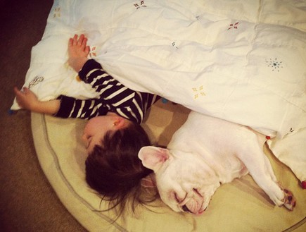ילד וכלב - תחת השמיכה (צילום: איה סקאי, instagram)