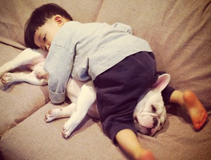 ילד וכלב - אחד על השני (צילום: איה סקאי, instagram)