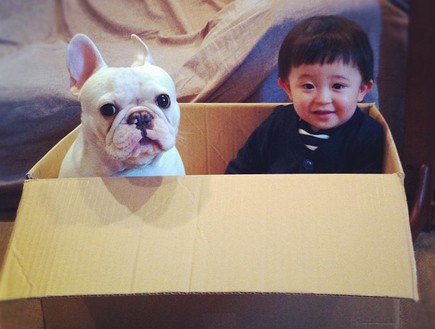 ילד וכלב - בתוך קרטון (צילום: איה סקאי, instagram)