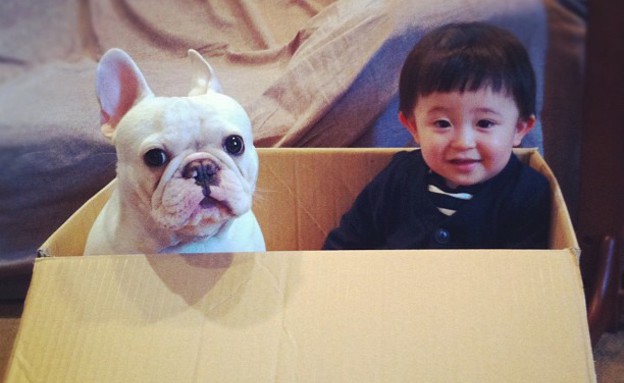 ילד וכלב - בתוך קרטון (צילום: איה סקאי, instagram)