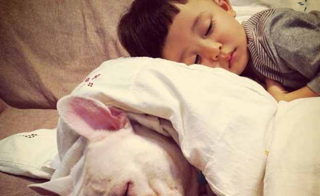 ילד וכלב - ישנים יחד (צילום: איה סקאי, instagram)