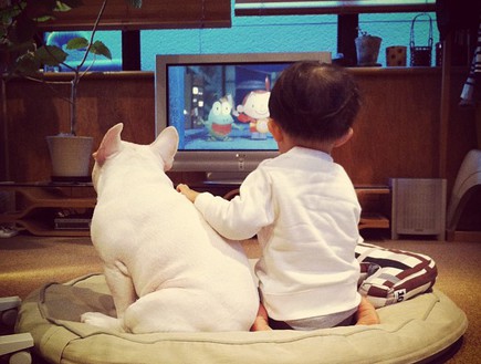 ילד וכלב - מול הטלוויזיה 2 (צילום: איה סקאי, instagram)