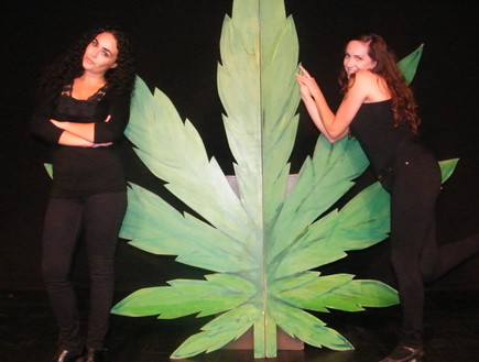 מה?ריחואנה מה?ריחואנה