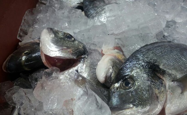 אייל גולן קורא לך גם באוקינוס