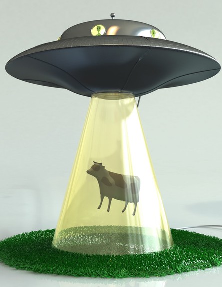 תחפושות מנורת פרה (צילום: abductionlamp)