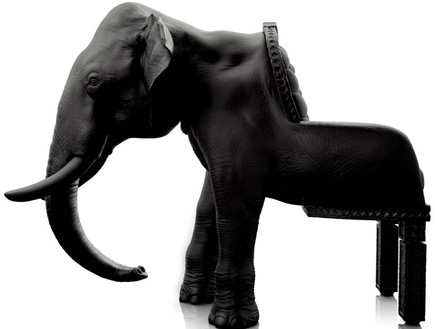 תחפושות פיל (צילום: elephant01)