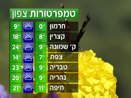 הטמפרטורות בצפון