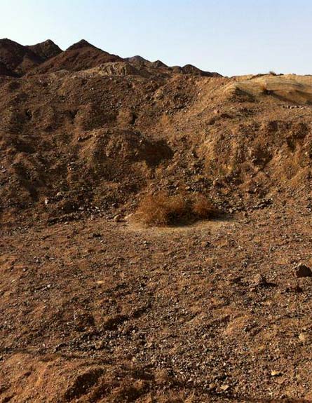 הסוואה גם במדבר (צילום: דובר צה"ל)